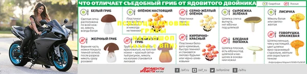 apvp Медвежьегорск