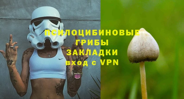apvp Медвежьегорск
