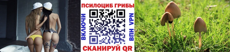 купить цена Черемхово Галлюциногенные грибы ЛСД