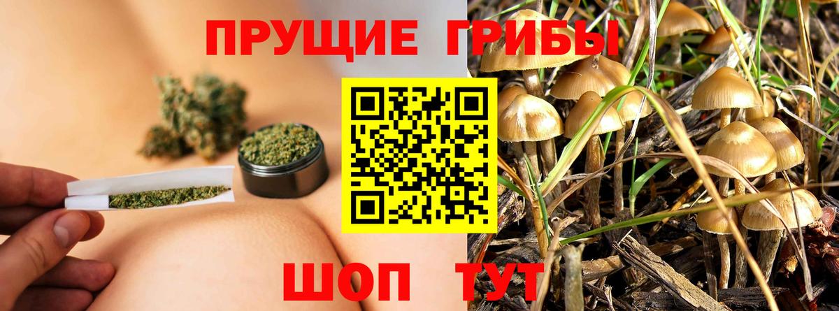 Галлюциногенные грибы мицелий Черемхово